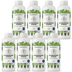 Hydroponik-Dünger - Silberkraft