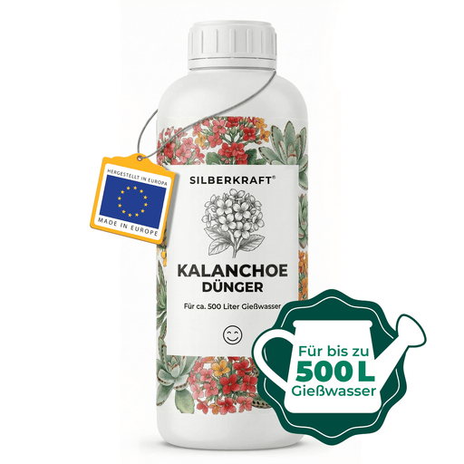 Kalanchoe-Dünger - Silberkraft