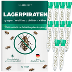 Silberkraft lager Pirates Against Lanos Wermaid - insetti benefici naturali per combattere gli scarafaggi lanosi in casa, senza sostanze chimiche, da allevamento tedesco, 10 x 30 Lager Pirates per tubo