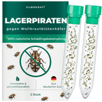 Silberkraft lager pirates contro gli scarabei lanosi - insetti benefici naturali per combattere gli scarabei lanosi in casa, senza sostanze chimiche, da allevamento tedesco, 2x 30 pirati lager per tubo