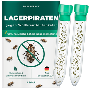Silberkraft Lagerpiraten gegen Wollkrautblütenkäfer – natürliche Nützlinge zur Bekämpfung von Wollkrautblütenkäfern im Haushalt, chemiefrei, aus deutscher Zucht, 2x 30 Lagerpiraten pro Röhrchen
