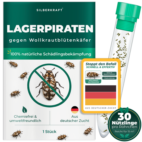 Silberkraft lager pirates contro gli scarabei lanosi - insetti benefici naturali per combattere gli scarabei lanosi in casa, senza sostanze chimiche, da allevamento tedesco, 30 pirati lager per tubo