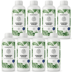 Fertilizzante Monstera - Silberkraft