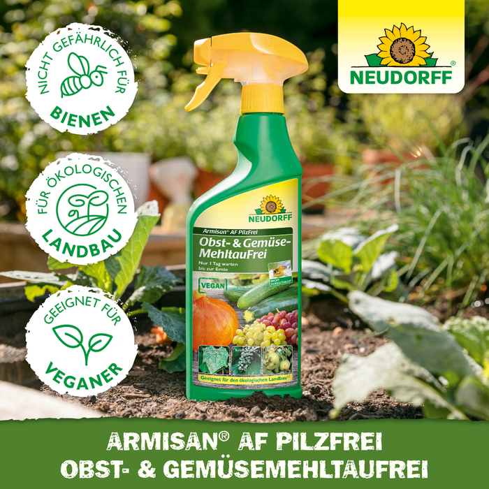 Neudorff Armisan AF Frutta e verdura senza funghi Senza muffa - Silberkraft