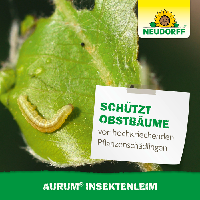 Colla per insetti Neudorff Aurum - Silberkraft