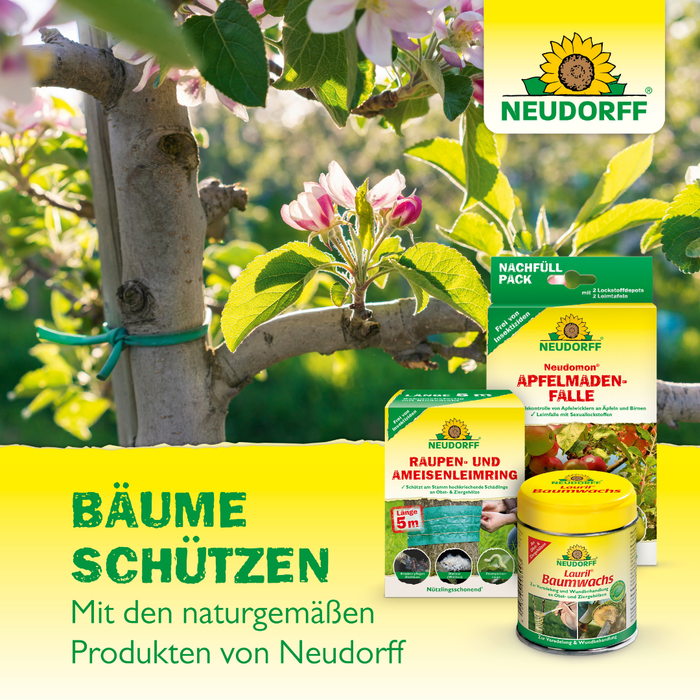 Colla per insetti Neudorff Aurum - Silberkraft