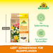 Bastoncini fertilizzanti Neudorff Azet per piante da fiore - Silberkraft
