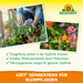 Bastoncini fertilizzanti Neudorff Azet per piante da fiore - Silberkraft