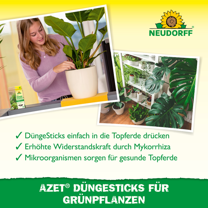 Bastoncini fertilizzanti Neudorff Azet per piante verdi - Silberkraft