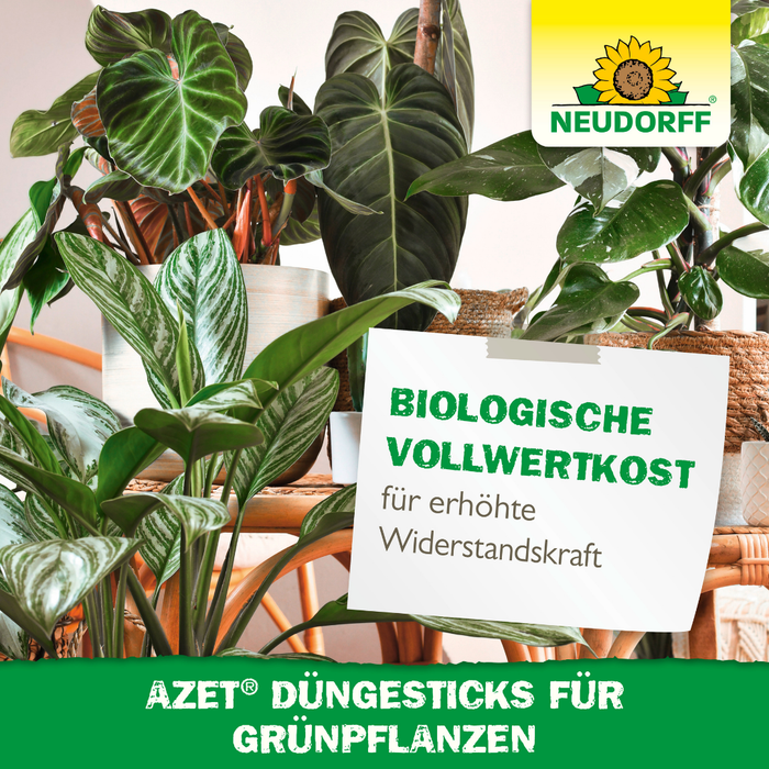 Bastoncini fertilizzanti Neudorff Azet per piante verdi - Silberkraft