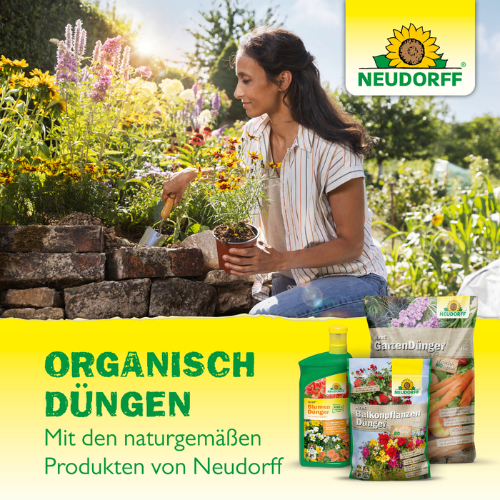 Bastoncini fertilizzanti Neudorff Azet per piante verdi - Silberkraft