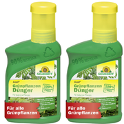 Fertilizzante per piante verdi Neudorff Azet