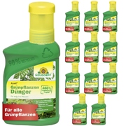 Fertilizzante per piante verdi Neudorff Azet