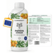 Fertilizzante alla papaya - Silberkraft