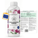 Concime per Phalaenopsis - Silberkraft