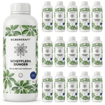 Schefflera-Dünger - Silberkraft