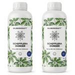 Schefflera-Dünger - Silberkraft