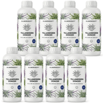 Fertilizzante per Tillandsia - Silberkraft