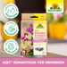 Neudorff Azet bastoncini fertilizzanti per orchidee - Silberkraft