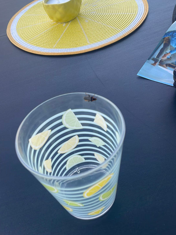 Un dermesteste del lardo è seduto sul bordo superiore di un bicchiere da bibita. Il bicchiere si trova su un tavolo scuro accanto a una tovaglietta.
