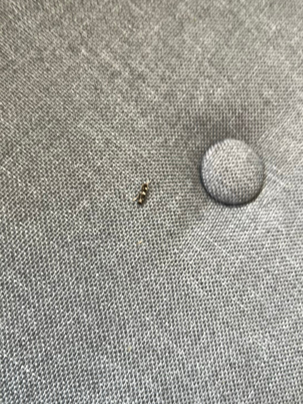 Una piccola larva di dermestide si trova su un tessuto di rivestimento grigio.