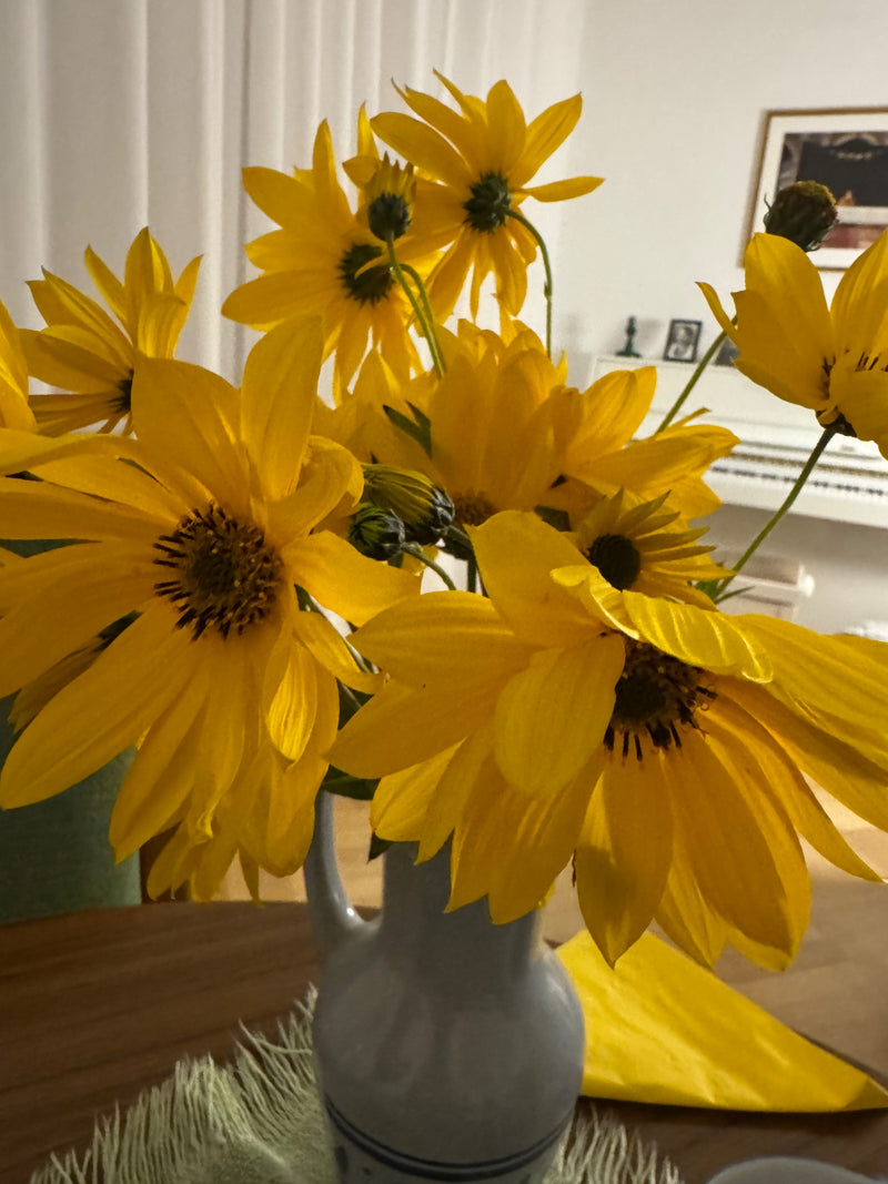 Un mazzo di fiori di topinambur giallo vivo è collocato decorativamente in un vaso di ceramica chiaro su un tavolo all'interno.