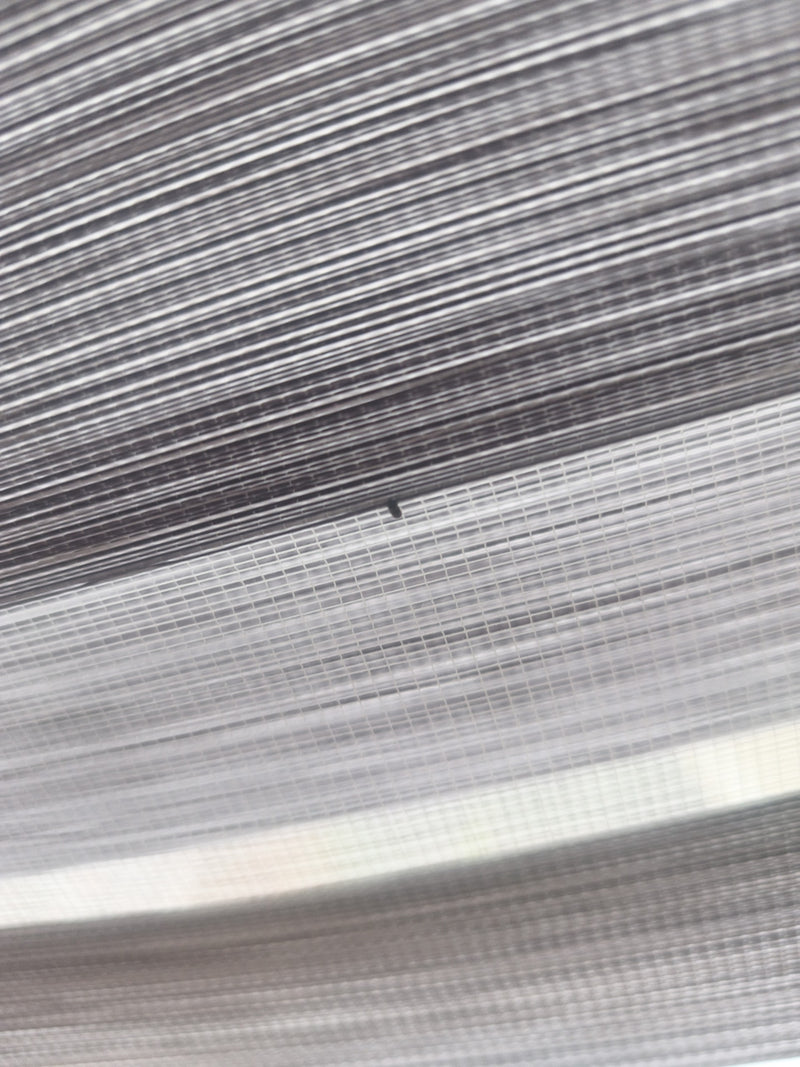 Insetto indeterminato — Bild 1
