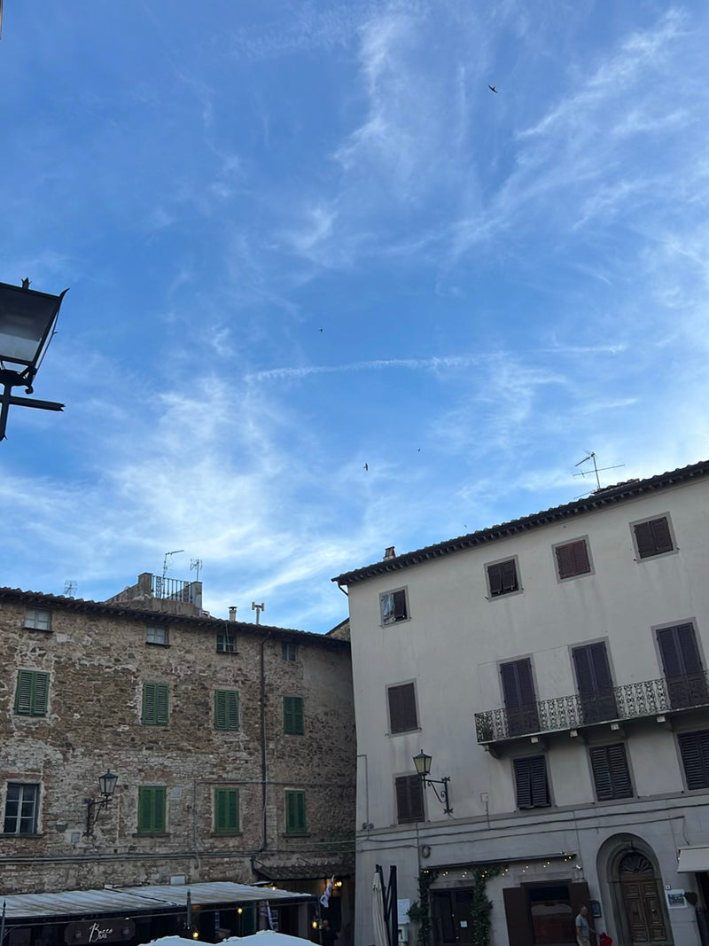 Uccelli — foto 5 di 11