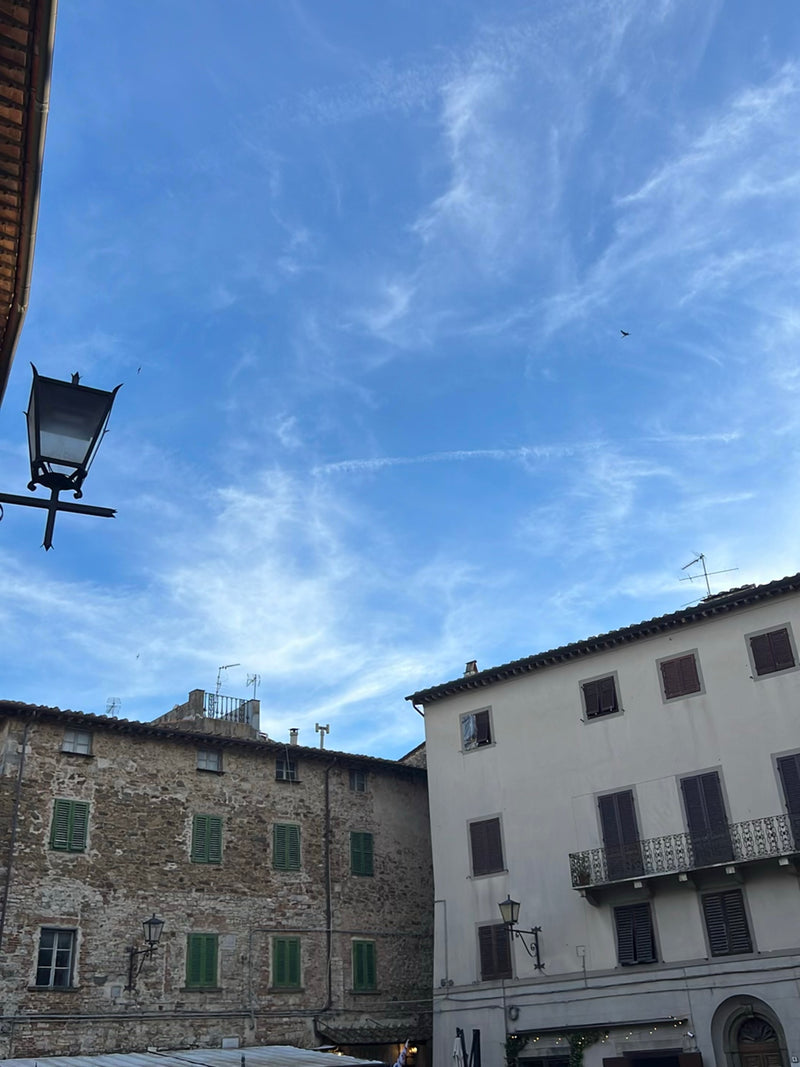 Uccelli — foto 4 di 11