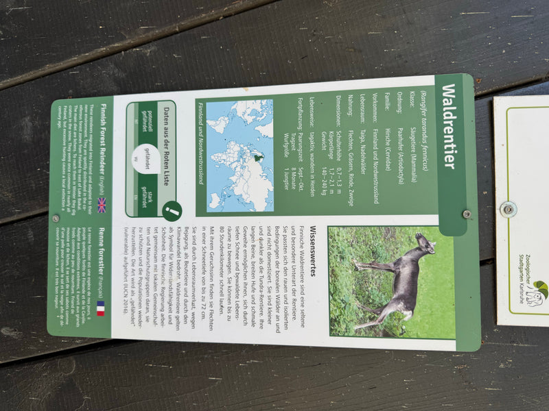 Waldrentier — foto 3 di 3
