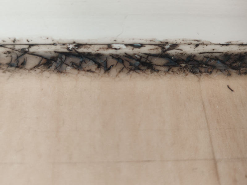 L'immagine mostra della muffa nera, presumibilmente Aspergillus niger, che cresce lungo una fuga.