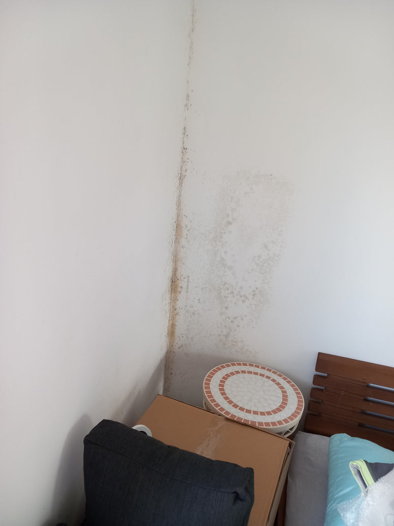 È visibile una crescita di muffa scura nell'angolo di una parete bianca della stanza. Si tratta di funghi di muffa in crescita.