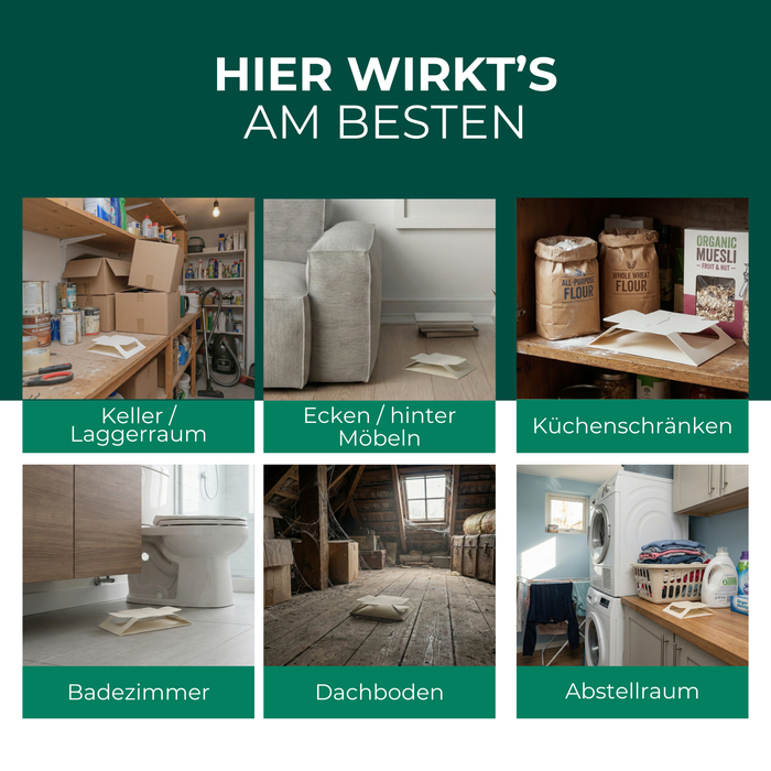 Spinnenfalle im Einsatz in Keller, Ecken, hinter Möbeln, Küchenschränken, Badezimmer, Dachboden und Abstellraum