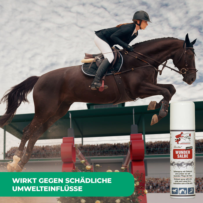 Unguento spray per proteggere e curare la pelle del cavallo