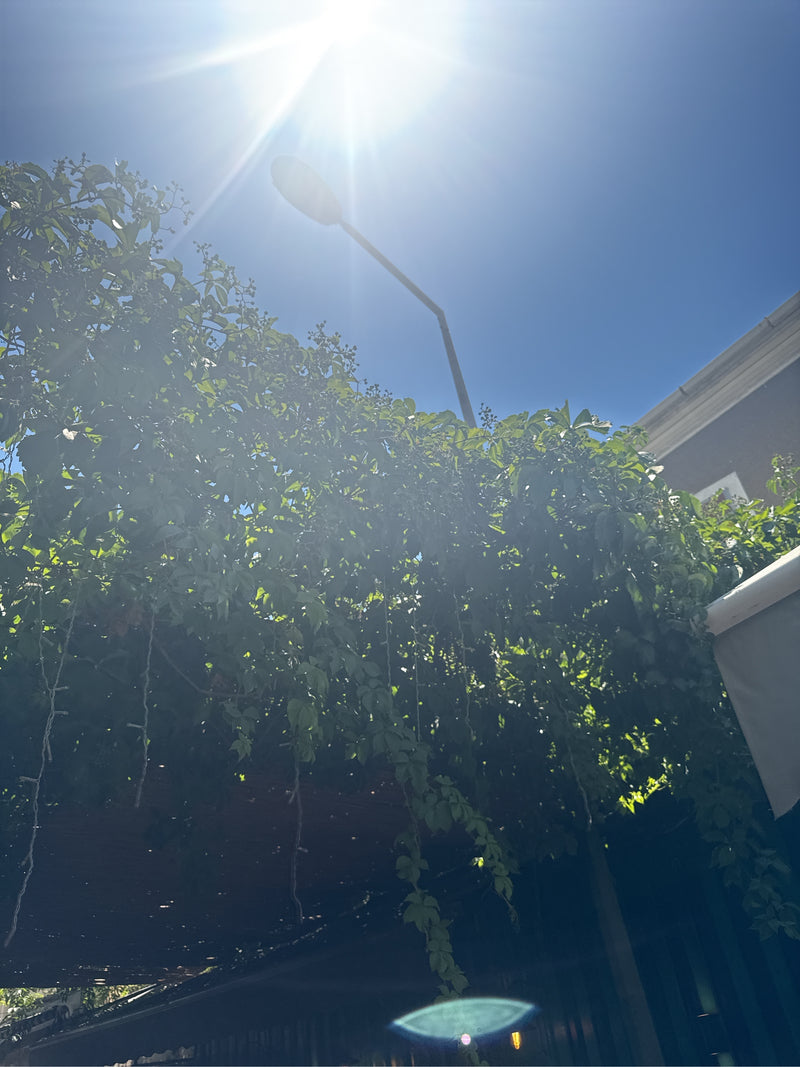 vite interna — Bild 1
