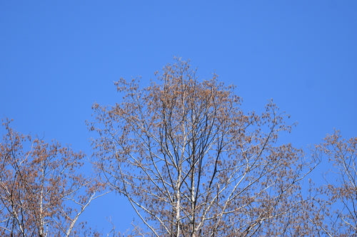 Aspen — Bild 3