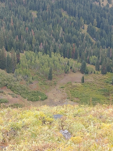 Aspen — Bild 2