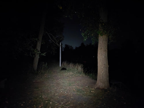 castoro — Bild 1
