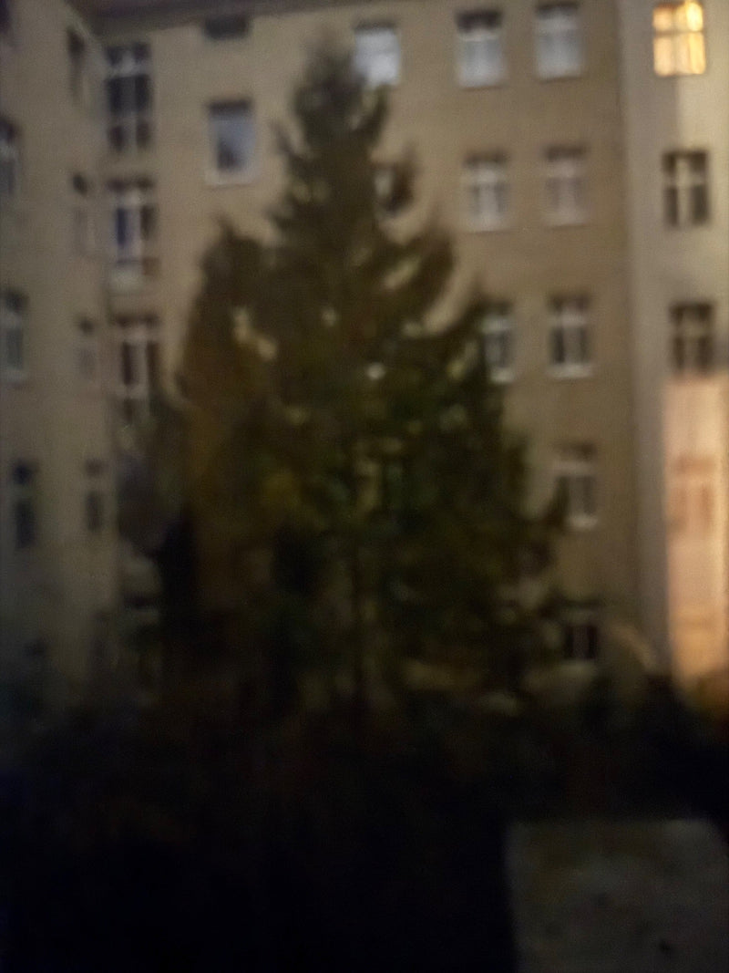Abete rosso — Bild 4