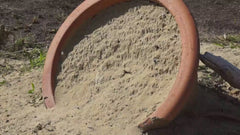 Imenotteri