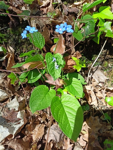 Memoriale di primavera — foto 5 di 8