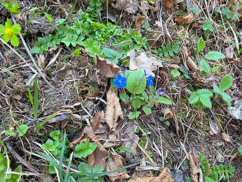 Memoriale di primavera — foto 3 di 8