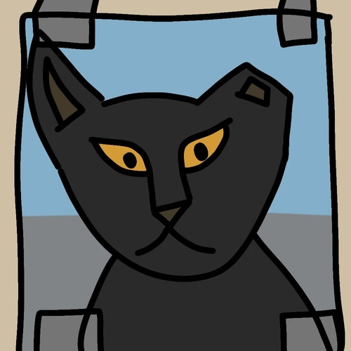 gatto domestico — Bild 4