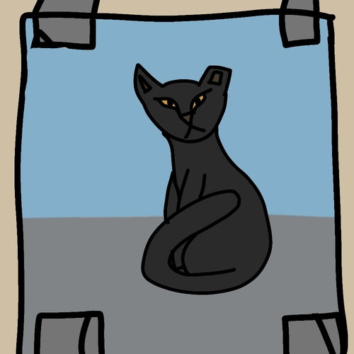 gatto domestico — Bild 3