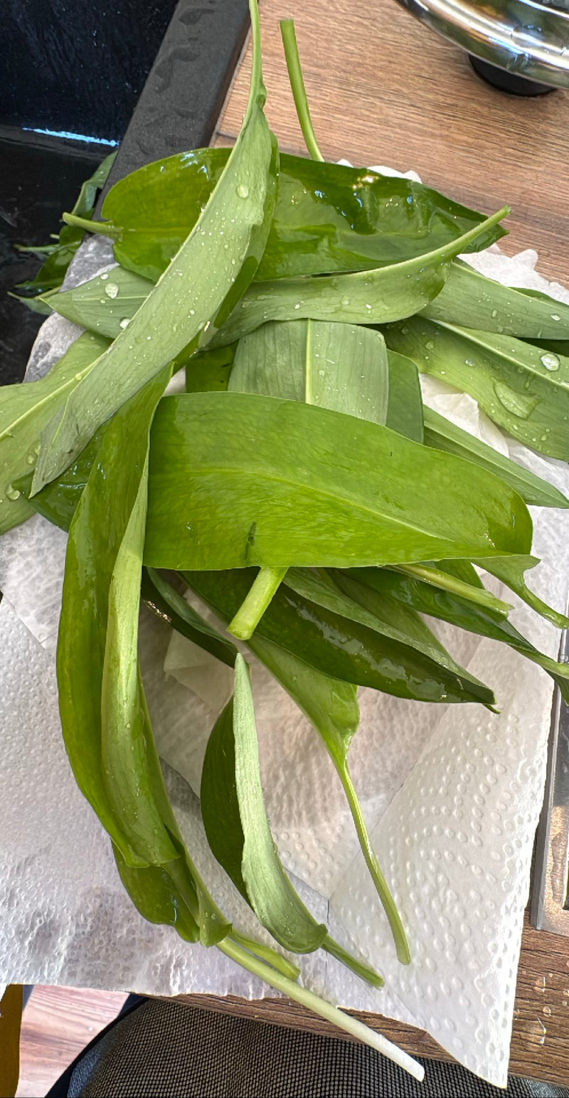L'immagine mostra diverse foglie di aglio orsino appena raccolte con steli, adagiate su carta da cucina. Le foglie presentano gocce d'acqua umide.