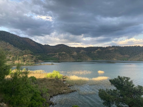 L'albero di Giuda — Bild 3