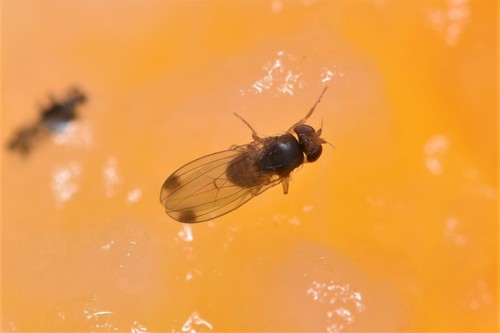 Naturaufnahme - Bild 2