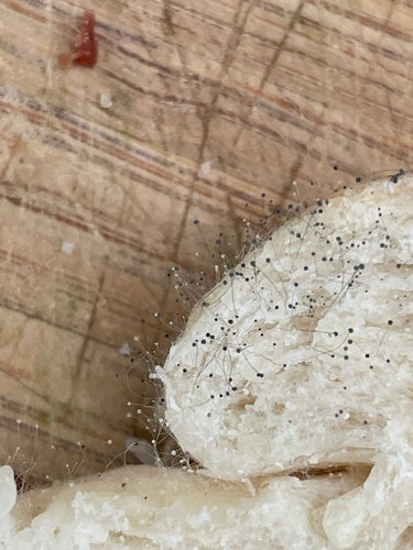 Stampo per la testa — Bild 2