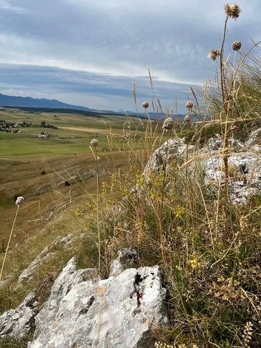 Porro palla — Bild 5