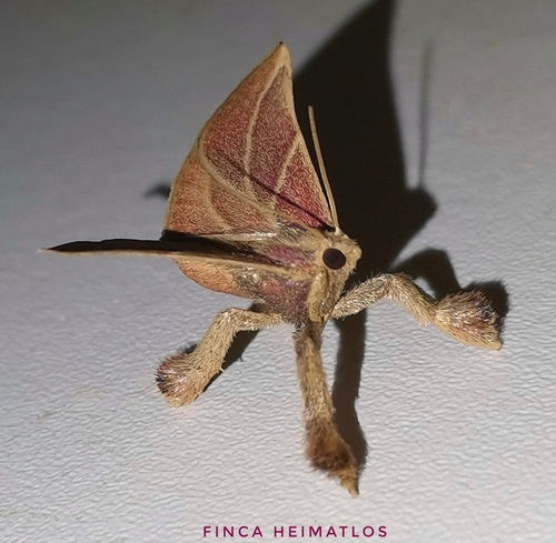 Naturaufnahme - Bild 6